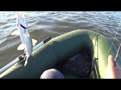 Видео: EVERGREEN Iron Marvie - железяка для жереха и окуня.Asp Fishing.