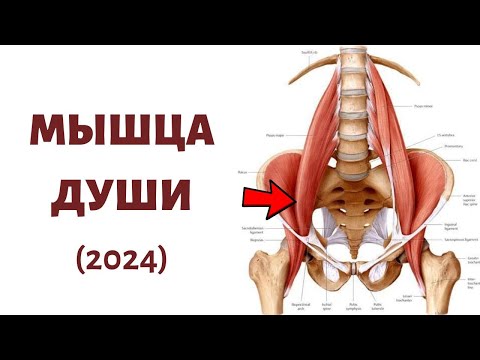 Видео: Как расслабить ПОЯСНИЧНУЮ МЫШЦУ 🔴  3 САМЫХ эффективных упражнения