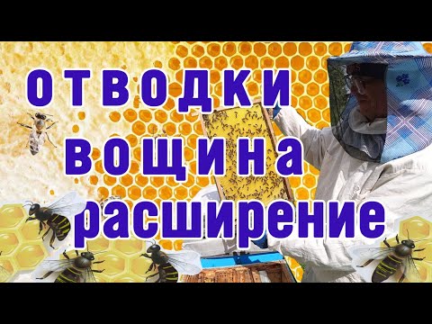 Видео: Отводки. Формирование отводков.  Расширение вощиной