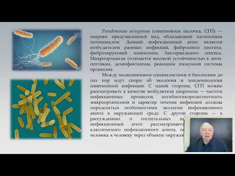Видео: 4 вопроса о роли биопленок в адаптации микроорганизмов к неблагоприятным факторам окружающей среды