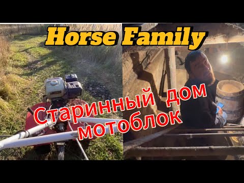 Видео: ЭКСПЛУАТАЦИЯ МОТОБЛОКА / РАЗОБРАЛИ СТАРИННЫЙ ДОМ