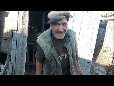 Видео: Дед Матвей выкопал картошку!