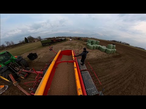 Видео: Planting beans / посев бобов / Lauku pupu sēšana #2025