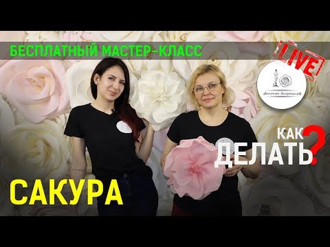 Видео: САКУРА ИЗ ИЗОЛОНА! Мастер класс!