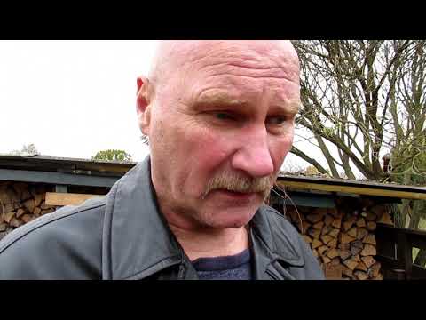 Видео: Боуи 550гр.