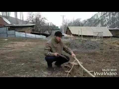 Видео: Ак кыя 2002 (Ата Мекенди коргоо кунуздор мн куттуктайт )😊