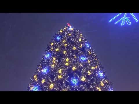 Видео: Екатеринбург Ледовый городок плотинка 08.01.25.
