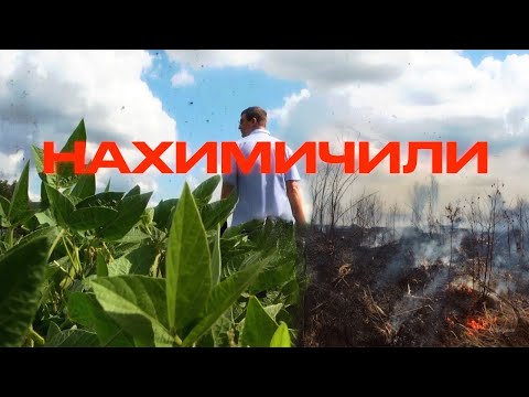 Видео: Спасти сою Не любой ценой!