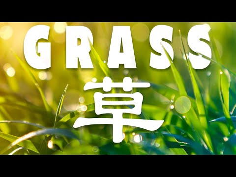 Видео: Стихотворение, которое знает каждый китайский студент (и вам тоже стоит знать)