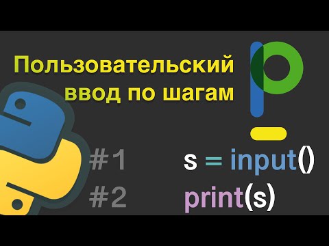 Видео: Уроки по Python: Пользовательский ввод input #8