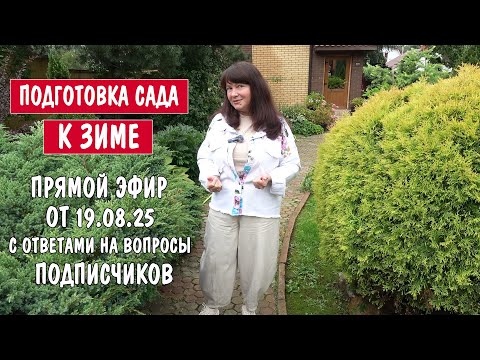 Видео: АВГУСТ - ПОРА ГОТОВИТЬ САД К ЗИМЕ! Прямой эфир с ответами на вопросы Подписчиков.