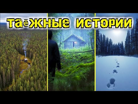 Видео: Неизведанная Тайга: Правдивые истории из глухой тайги. Таёжные истории
