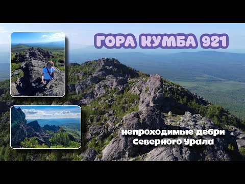 Видео: На пути к Кумбе через дебри Северного Урала