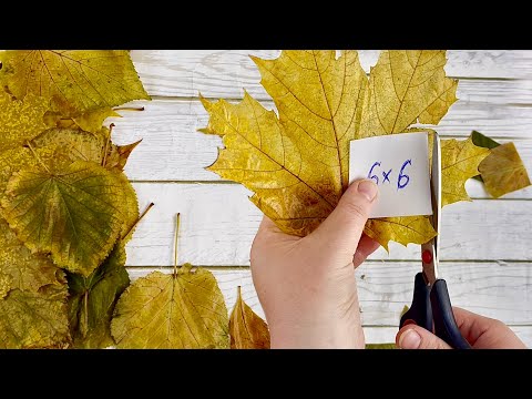 Видео: ФАНТАСТИЧЕСКАЯ ПЕРЕРАБОТКА ОСЕННИХ ЛИСТЬЕВ!🍁Шью стильную вещь из природного материала!