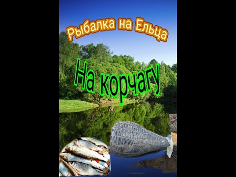 Видео: РЫБАЛКА НА ЕЛЬЦА НА КОРЧАГУ