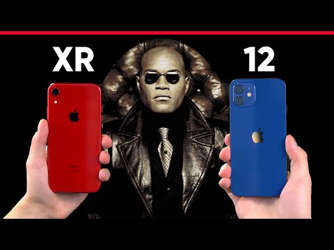 Видео: БОЛЬШАЯ ЛИ РАЗНИЦА? Сравнение iPhone XR vs iPhone 12