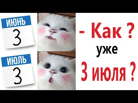 Видео: Лютые приколы. КОТ ХОЧЕТ БОЛЬШЕ ЛЕТА!!! Тест на психику! Засмеялся проиграл! – Domi Show!