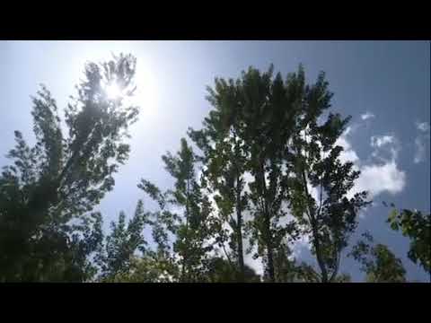 Видео: Бостандық ауданы, Шақшам ауылындағы қандастарымыздың өміріне арналған бағдарлама.