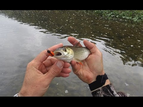 Видео: ЖУК - инструкция по применению