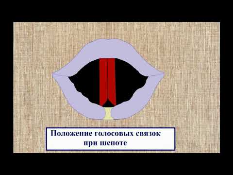 Видео: Музликбез для вокалиста. Физика звука