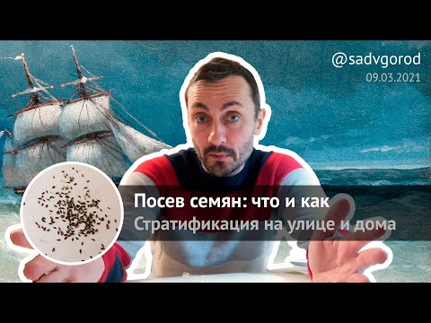 Видео: Посев семян: что и как. Стратификация на улице и дома