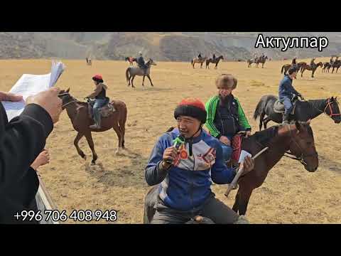 Видео: Бүгүнкү улак 12 октября 2025 Калмак кырчын Төлөн Ававыздын неберелерине арналган улак