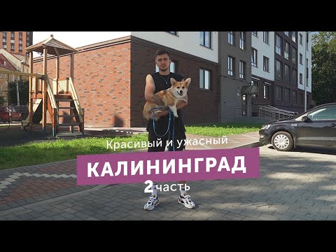 Видео: Калининград: пляжи битком, цены растут, но я купил квартиру. Обзор спустя полгода жизни.