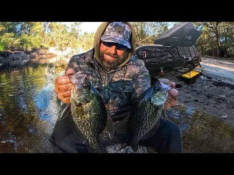 Видео: Одиночный поход и рыбалка в холодную погоду! (Поймай и приготовь)