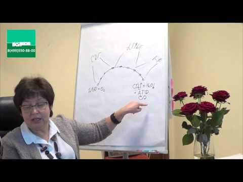Видео: Вебинар 2. Депрессия, утомляемость, синдром хронической усталости, нарушения сна