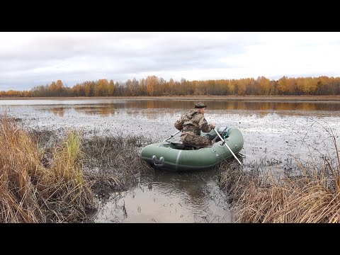 Видео: Охота на утку в октябре. Первая добыча сезона. Ружье Franchi Affinity One.