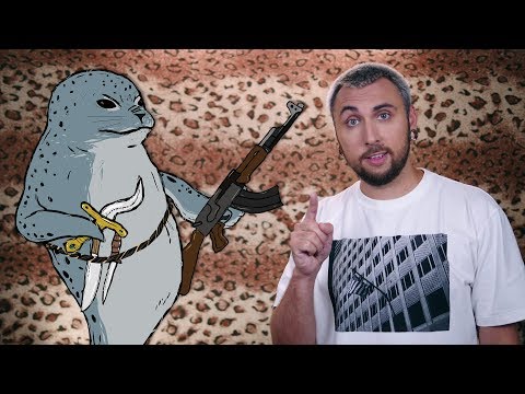 Видео: +100500 - Тюлень Ворвался На Палубу