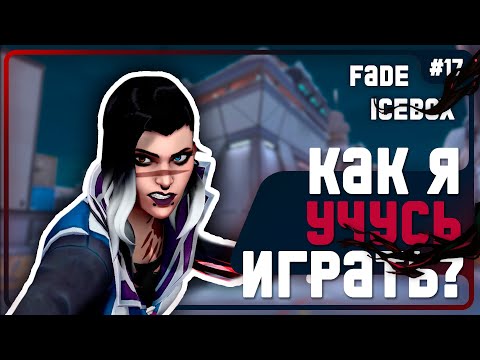 Видео: Как Контрить TWERK Гекко в VALORANT??? - #17 - (Icebox/Fade)