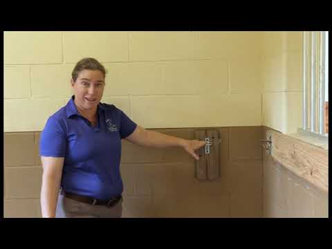 Видео: Проектирование коровника с точки зрения ветеринара