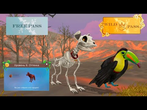 Видео: Купила Gold Pass 🍁Выполняем задания и получаем награды 🎃 WildCraft