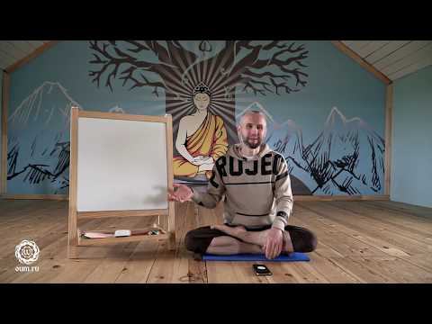 Видео: ГУНЫ в ЙОГЕ, что это? КАРМА зависит от ГУН. Учитель йоги Александр Терентьев