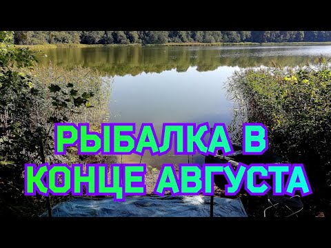 Видео: Рыбалка на резинки в конце Августа 