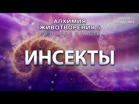 Видео: Инсекты #инсекты #Гарат #Сознание3 #Алхимияживотворения  #школаСорадение