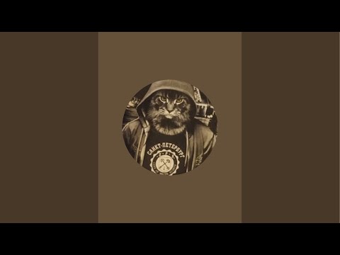 Видео: Я и Кот !!!! в прямом эфире!