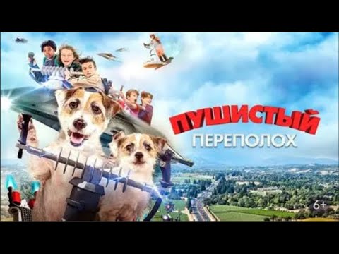 Видео: 👨‍👨‍👧‍👧О ФЕНОМЕНАЛЬНОМ УМНОМ ПСЕ ДЖЕКЕ-РАССЕЛЕ! Пушистый переполох. Семейный канал