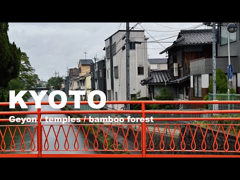 Видео: KYOTO | VLOG | Фантастическая красота 