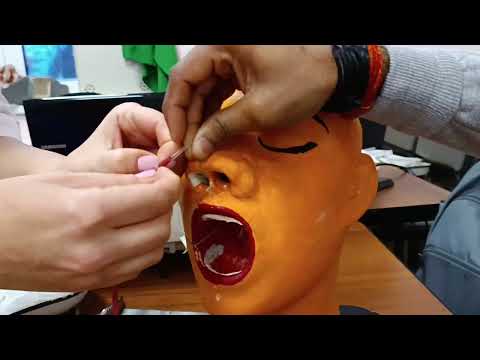 Видео: Задняя томпанода носа / ENT practicle