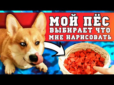 Видео: ПЁС УПРАВЛЯЕТ МОИМ РИСУНКОМ (RCD)