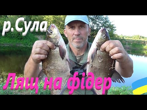 Видео: #Сула #А тепер на фідер #РибачуЯкУмію