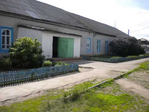 Видео: Золотая Степь