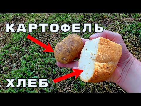 Видео: СЕКРЕТНЫЙ РЕЦЕПТ ИЗ КАРТОФЕЛЯ И ХЛЕБА! Эта насадка работает!