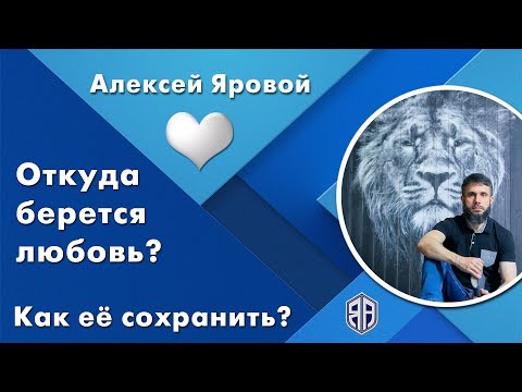 Видео: Откуда берется любовь? Как её сохранить? Алексей Яровой