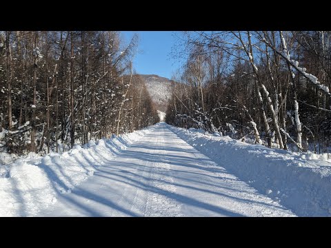 Видео: 2025. Орочи. Хуту. Тумнин. Тулучи. Зимой на велосипеде.