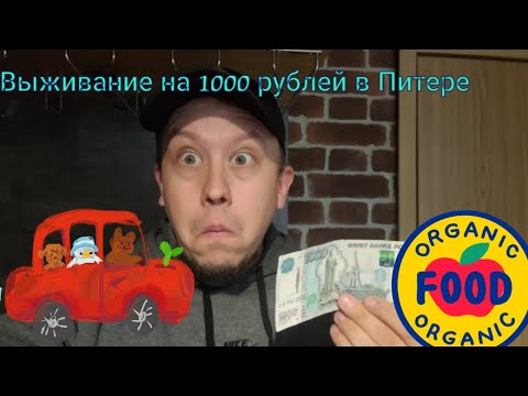 Видео: Выживание в Питере на 1000 рублей в неделю.День первый,закупка и шок от цен.