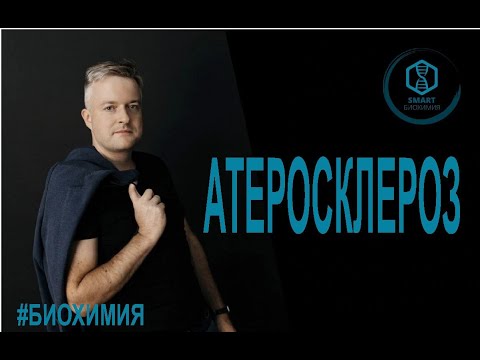 Видео: Биохимия: Атеросклероз