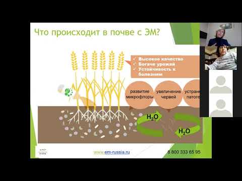 Видео: Осенние работы на дачном участке